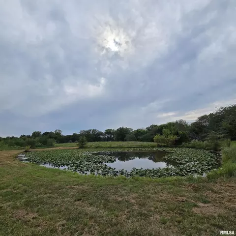 000 Cedar Rd, Kell, IL 62853 photo 17