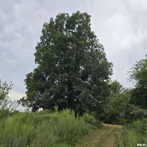 000 Cedar Rd, Kell, IL 62853 photo 11