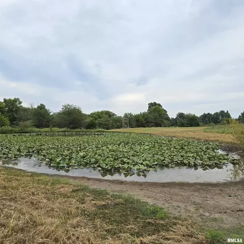 000 Cedar Rd, Kell, IL 62853 photo 19