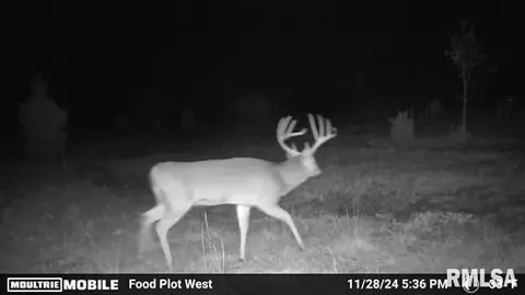 000 Cedar Rd, Kell, IL 62853 photo 27