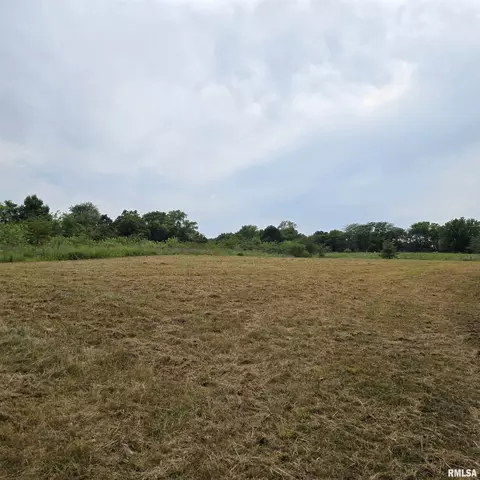 000 Cedar Rd, Kell, IL 62853 photo 15