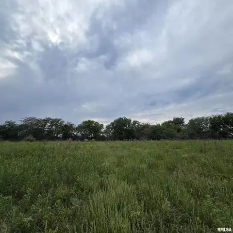 000 Cedar Rd, Kell, IL 62853 photo 21