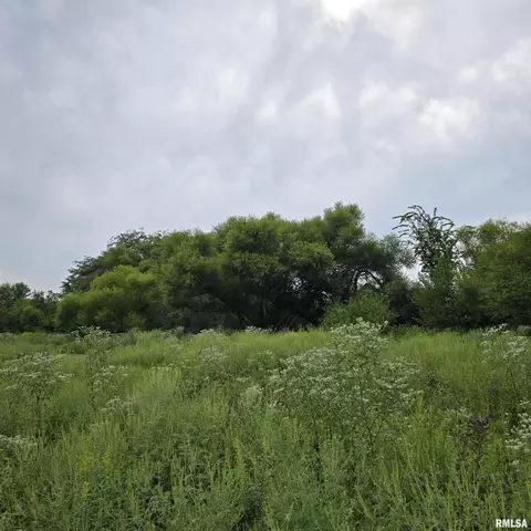000 Cedar Rd, Kell, IL 62853 photo 7