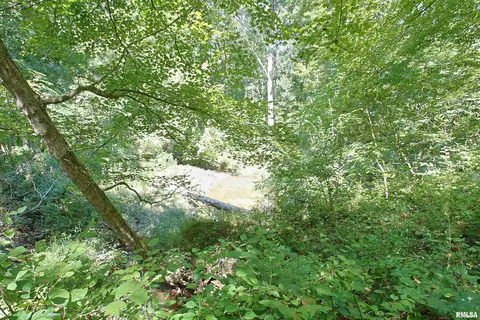 000 Antioch Ln, Cobden, IL 62920 photo 5