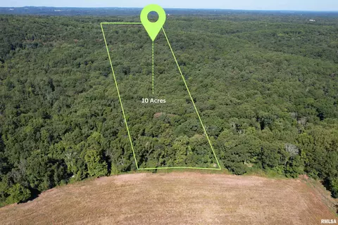 000 Antioch Ln, Cobden, IL 62920 photo 3