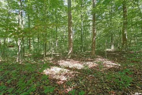 000 Antioch Ln, Cobden, IL 62920 photo 6