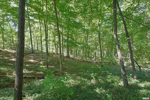 000 Antioch Ln, Cobden, IL 62920 photo 8