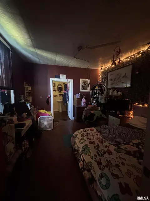1002 Ferry St, Metropolis, IL 62960 photo 13