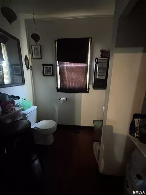 1002 Ferry St, Metropolis, IL 62960 photo 8