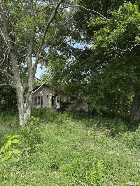 9865 N Millionaires Rd, Mulkeytown, IL 62865