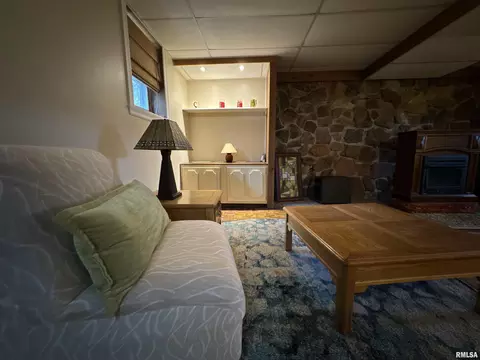 775 Hess School Rd, Anna, IL 62906 photo 27