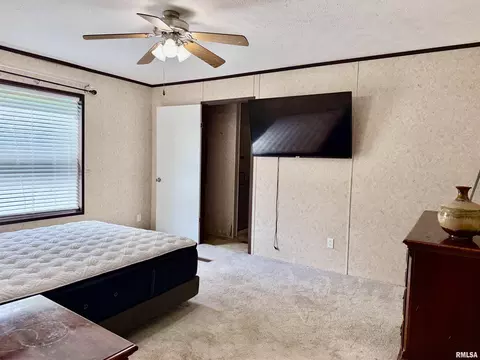 113 E 21st St, Metropolis, IL 62960 photo 12