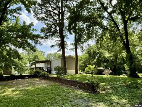113 E 21st St, Metropolis, IL 62960 photo 8