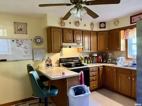 1105 E Carter St, Marion, IL 62959 photo 2