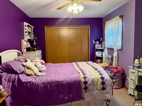 1105 E Carter St, Marion, IL 62959 photo 11