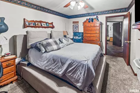 628 Tracy Ter, Centralia, IL 62801 photo 26