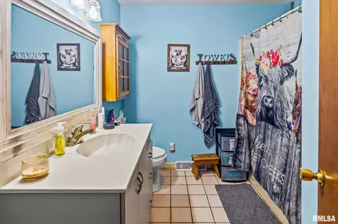628 Tracy Ter, Centralia, IL 62801 photo 29