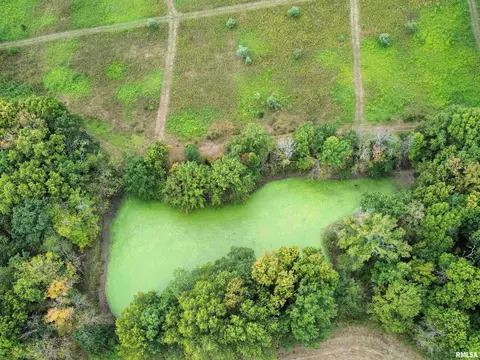 000 950 E County Rd, Cisne, IL 62823 photo 3