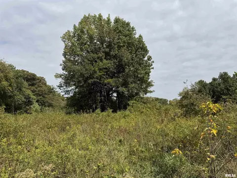 000 950 E County Rd, Cisne, IL 62823 photo 25