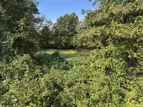000 950 E County Rd, Cisne, IL 62823 photo 34