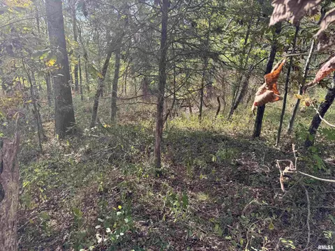000 950 E County Rd, Cisne, IL 62823 photo 23