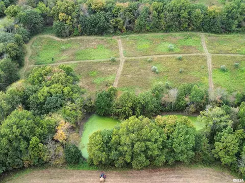 000 950 E County Rd, Cisne, IL 62823 photo 2