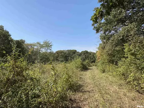 000 950 E County Rd, Cisne, IL 62823 photo 28