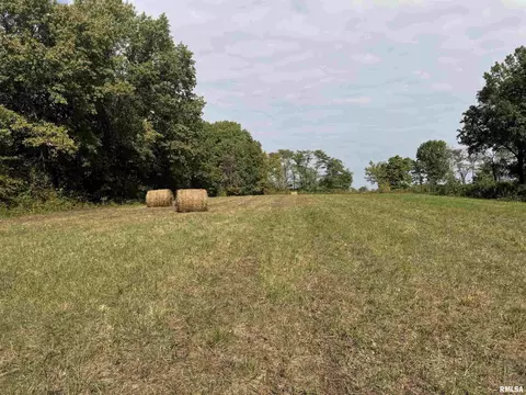 000 950 E County Rd, Cisne, IL 62823 photo 33
