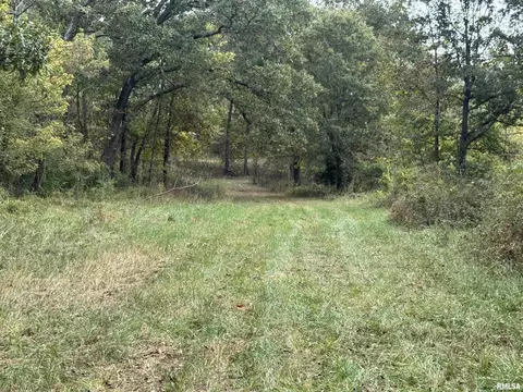 000 950 E County Rd, Cisne, IL 62823 photo 19
