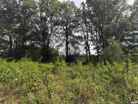 000 950 E County Rd, Cisne, IL 62823 photo 27