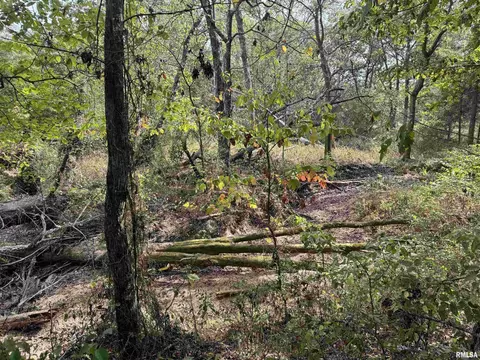 000 950 E County Rd, Cisne, IL 62823 photo 24