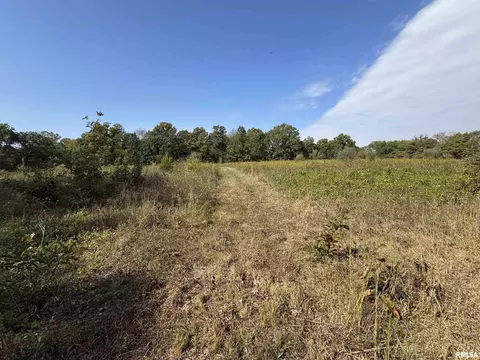 000 950 E County Rd, Cisne, IL 62823 photo 30