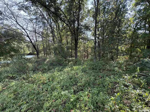 000 950 E County Rd, Cisne, IL 62823 photo 31