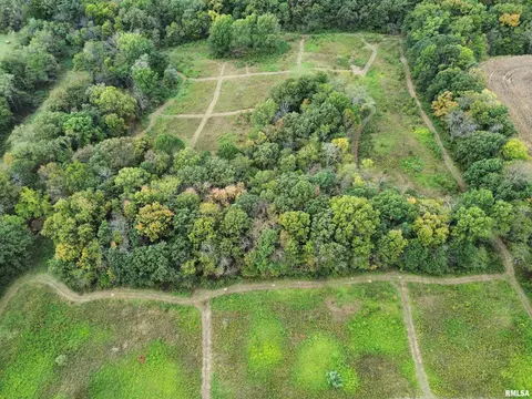 000 950 E County Rd, Cisne, IL 62823 photo 5