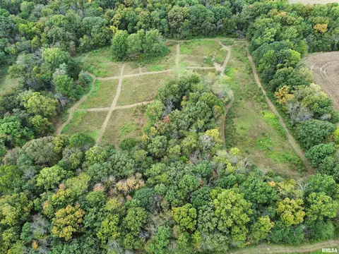 000 950 E County Rd, Cisne, IL 62823 photo 6