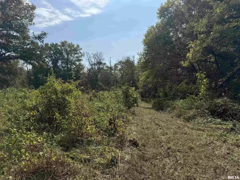 000 950 E County Rd, Cisne, IL 62823 photo 26