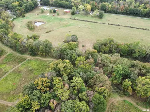 000 950 E County Rd, Cisne, IL 62823 photo 14