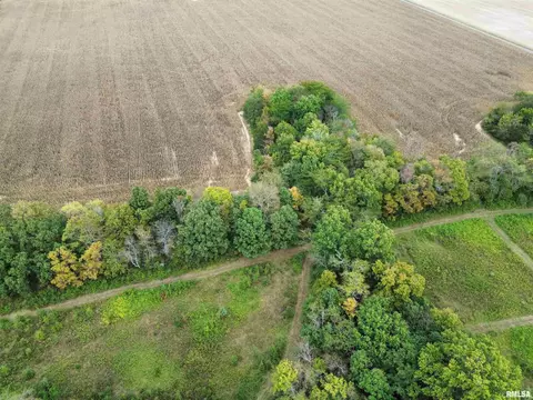 000 950 E County Rd, Cisne, IL 62823 photo 13