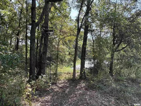 000 950 E County Rd, Cisne, IL 62823 photo 29