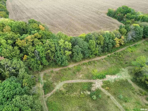 000 950 E County Rd, Cisne, IL 62823 photo 10