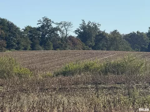 000 Elba Rd, Eldorado, IL 62930 photo 17