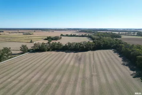 000 Elba Rd, Eldorado, IL 62930 photo 43