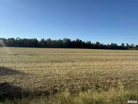000 Elba Rd, Eldorado, IL 62930 photo 5