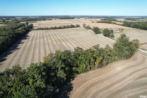 000 Elba Rd, Eldorado, IL 62930 photo 39