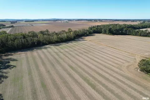 000 Elba Rd, Eldorado, IL 62930 photo 35