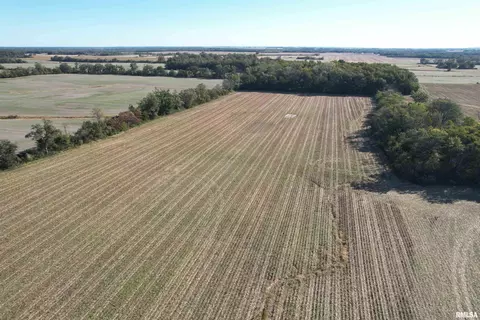 000 Elba Rd, Eldorado, IL 62930 photo 22