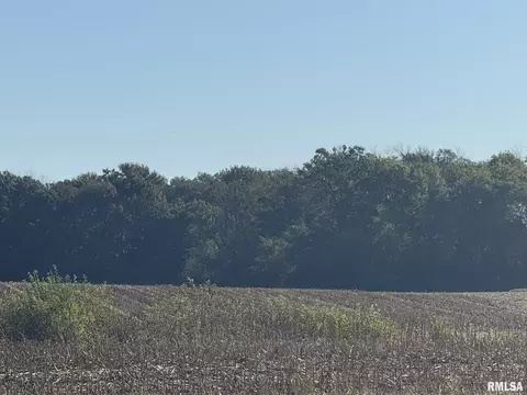 000 Elba Rd, Eldorado, IL 62930 photo 16