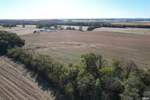 000 Elba Rd, Eldorado, IL 62930 photo 26