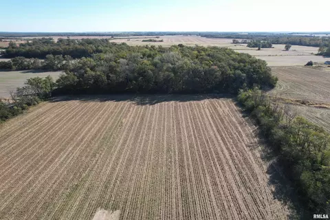 000 Elba Rd, Eldorado, IL 62930 photo 25