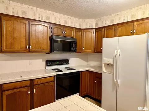 18 Chick St, Metropolis, IL 62960 photo 9